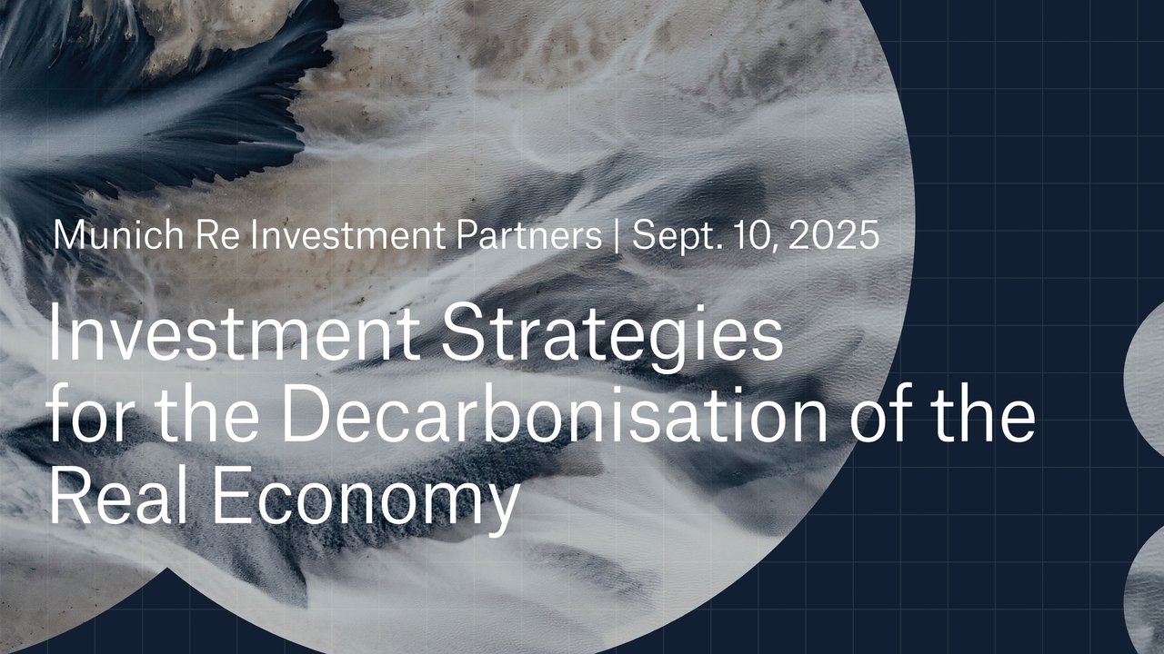 Institutional investors reviewing Munich Re Investment Partners news and updates